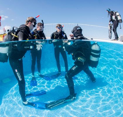 Manta Diving